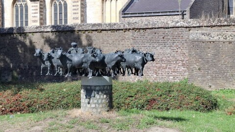 Fietsen aan de maas 10