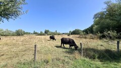 Fietsen aan de maas 6